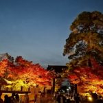 京都　紅葉　夜